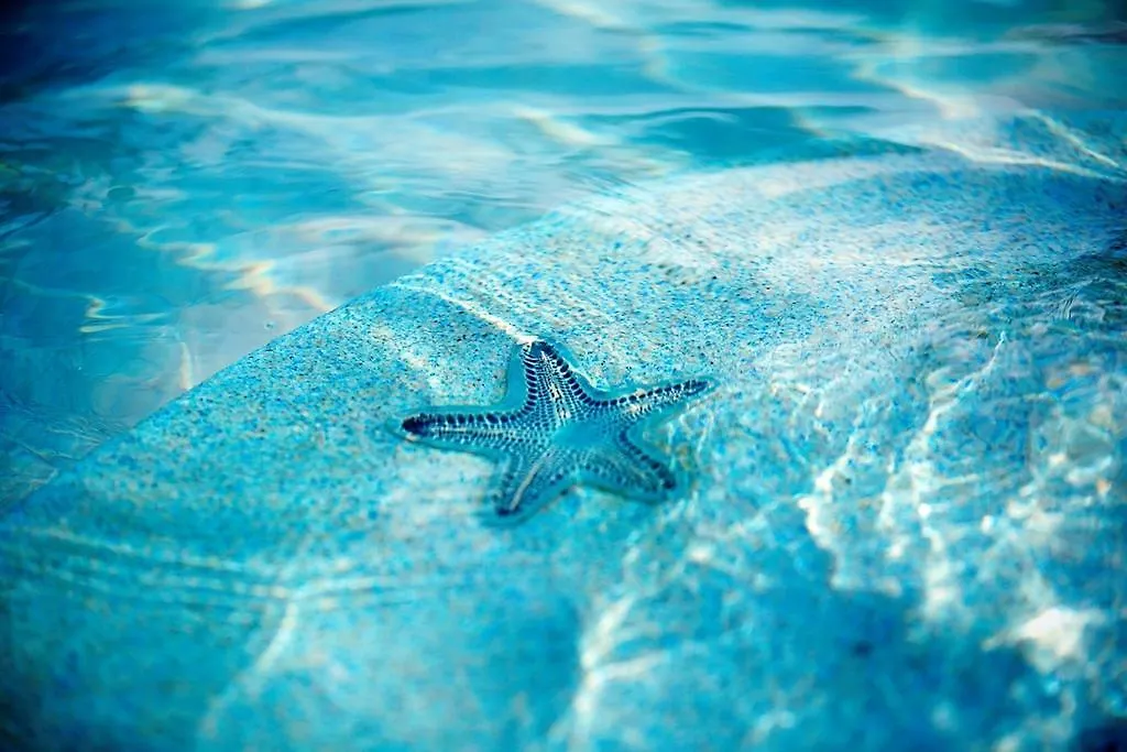Warwick Paradise Island Bahamas (Adults Only) Nassau